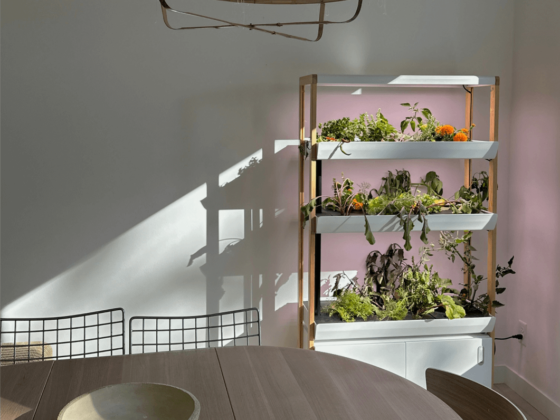 Hero image of a Rise Garden's indoor garden in a dining room