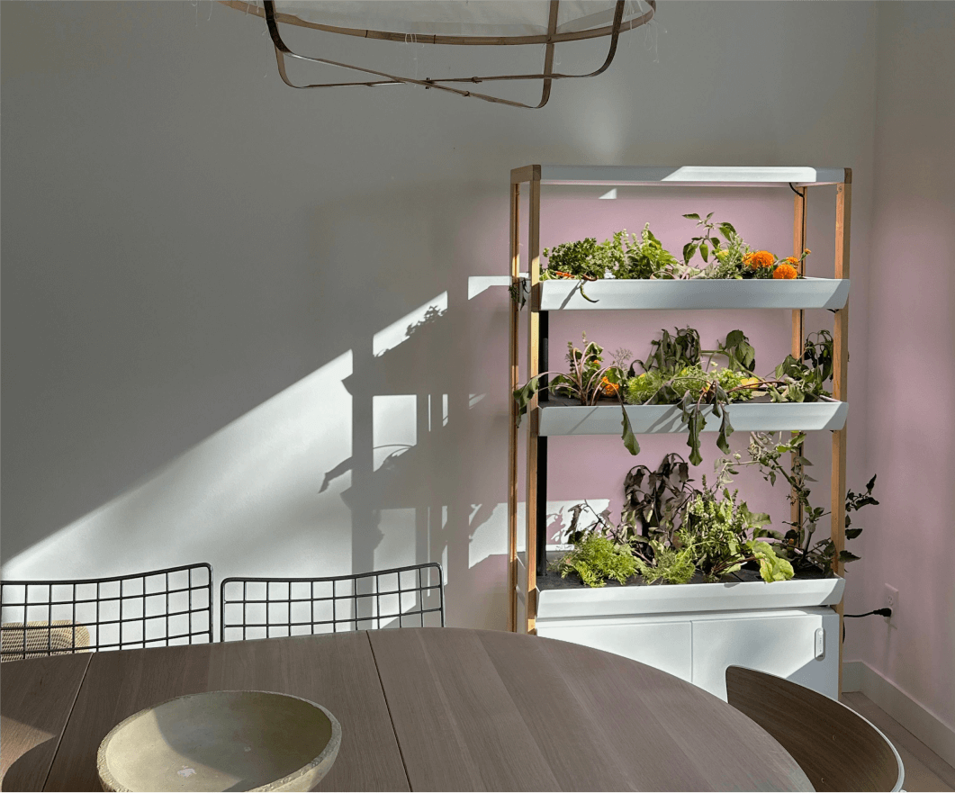 Hero image of a Rise Garden's indoor garden in a dining room